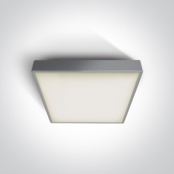Lubinis LED šviestuvas Plafo SMD LED 82AN/G/W