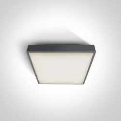 Lubinis LED šviestuvas Plafo SMD LED 82N/AN/W
