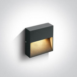Sieninis LED šviestuvas 3W LED A/AN/W