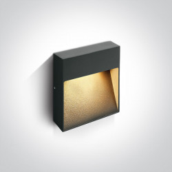 Sieninis LED šviestuvas 9W LED A/AN/W