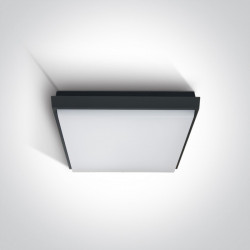 Lubinis LED šviestuvas Slim Plafo SMD LED 2A/AN/W