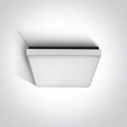 Lubinis LED šviestuvas Slim Plafo SMD LED 2A/W/W