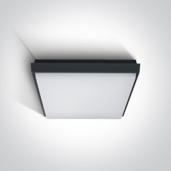 Lubinis LED šviestuvas Slim Plafo SMD LED 3A/AN/W