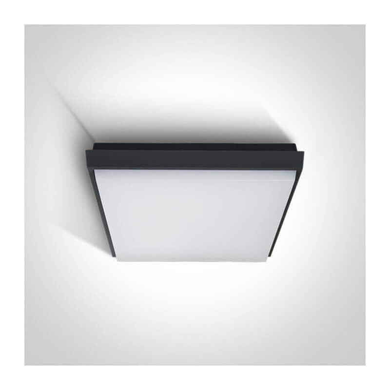 Šviestuvas lubinis One Light 67363A/AN/W