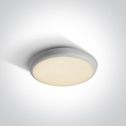 Avarinis LED šviestuvas Plafo 66E/W/W