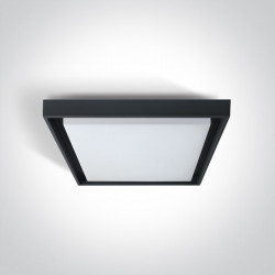 Lubinis LED šviestuvas Slim Plafo SMD LED 4A/AN/W