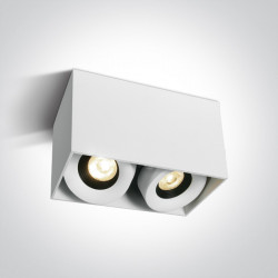 Lubinis LED šviestuvas COB 2XA/W