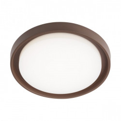 LUBINIS LED šviestuvas BEZEL 30W RUDAS