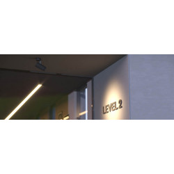SIENINIS - LUBINIS LED šviestuvas EAGLE kaina