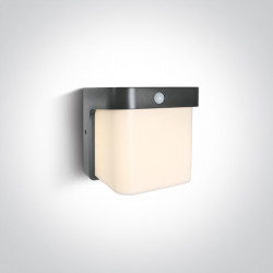 Sieninis LED šviestuvas su judesio davikliu12W LED anthracite