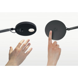 Sieninis LED šviestuvas Demetra movement detector JUODAS kaina