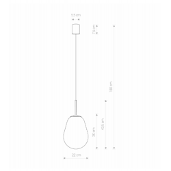 PAKABINAMAS ŠVIESTUVAS PEAR S internetu