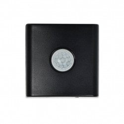 Dienos šviesos bei judesio daviklis Smart Light Black kaina
