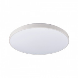 Lubinis LED šviestuvas AGNES ROUND LED BALTAS 32W 4000K