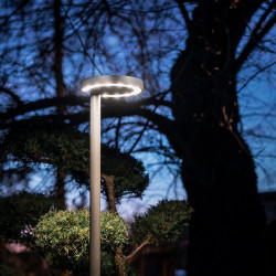 PASTATOMAS LED šviestuvas POLE LED internetu